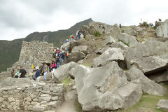 Citadel of Machu Picchu