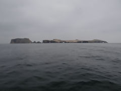 Ballestas Islands, Paracas