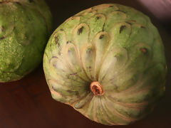 Cherimoya