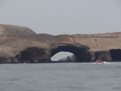 Ballestas Islands, Paracas