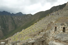 Citadel of Machu Picchu