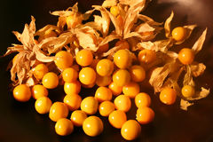 Goldenberry