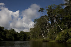 Yanayacu River