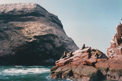 Ballestas Islands, Paracas