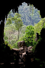 Cave of the Owls, Tingo Mara