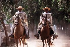 Peruvian Paso horse, Trujillo