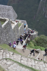 Citadel of Machu Picchu