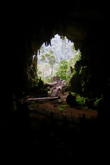 Cave of the Owls, Tingo Mara