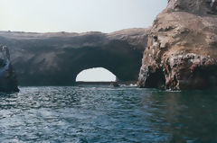 Ballestas Islands, Paracas