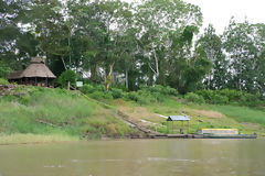 Amazon Riverbank