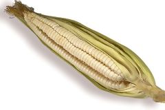 Corn