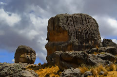 Sachapite Rock Forest