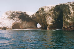 Ballestas Islands, Paracas