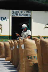 Coffee Bagging