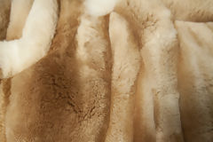 Baby alpaca wool