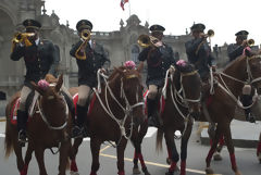 Mounted Police Exhibition