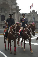 Mounted Police Exhibition