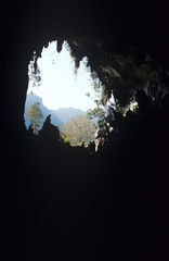 Cave of the Owls, Tingo Mara