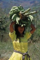 Resident Carrying Bananas