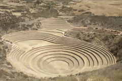 Moray Terraces