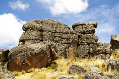 Sachapite Rock Forest