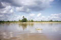 Amazon River