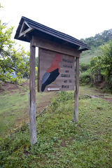 Natural Refuge of the Andean Cock-of-the-Rock