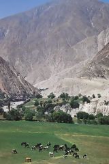 Pisco River Valley