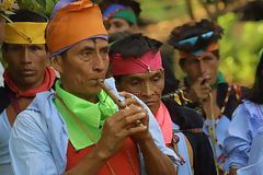 Lamas Musicians