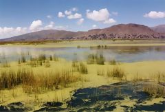 Titicaca Lake