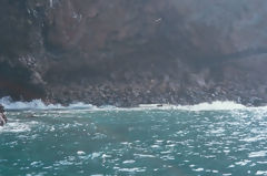 Ballestas Islands, Paracas