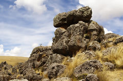 Sachapite Rock Forest