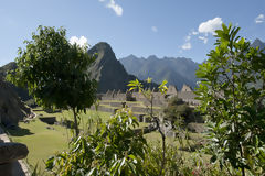 Citadel of Machu Picchu