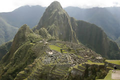 Citadel of Machu Picchu