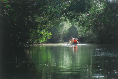 Tumbes Mangroves