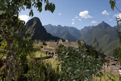 Citadel of Machu Picchu