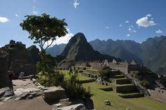 Citadel of Machu Picchu