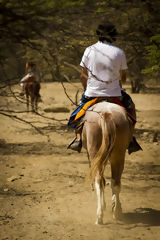 Horse Riding, Mncora