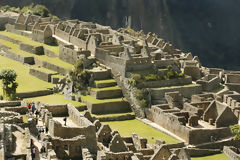 Citadel of Machu Picchu