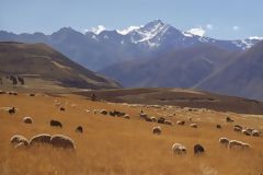 Path to Moray, Urubamba