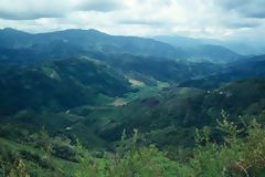 Alluvial Terraces