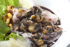 Black Shells Ceviche