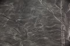 Nazca lines