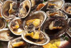 Black Clams